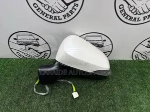 Axio 165 Side Mirror