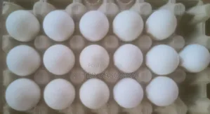Duck Fertilized Eggs