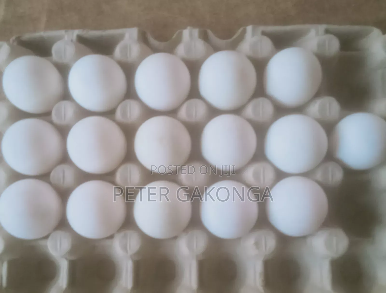 Duck Fertilized Eggs Rouen,Pekin,Khaki Campbell.