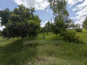 2 Acres Available for Sale
