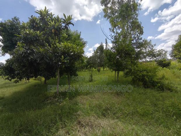 2 Acres Available for Sale