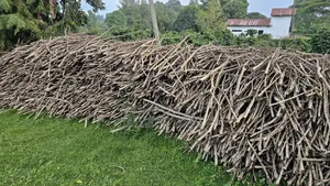 Coffee Stems for Fencing, Arts Crafts, Garden Design or Firewood
