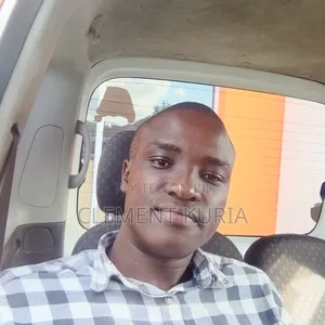 Executive/Personal/Company Driver or Sales and Marketing