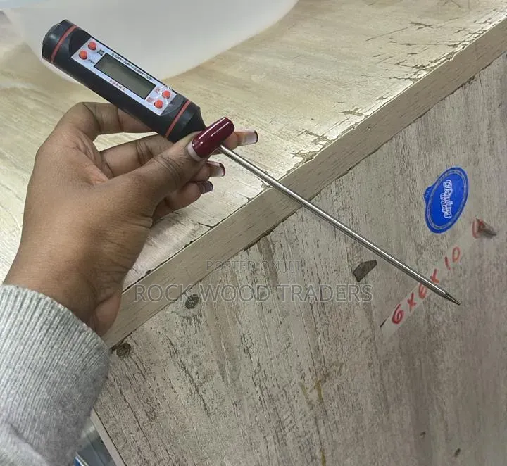 Digital Food Thermometer