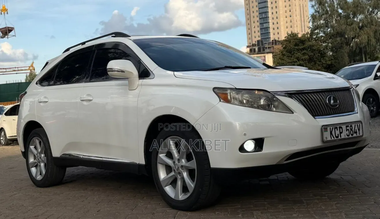 Lexus RX 2010 White