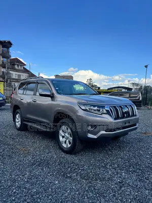Toyota Land Cruiser Prado 2.8 2019 Gray