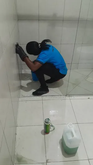 We Offer High Standards and Quality Cleaning Within Nairobi Beyond