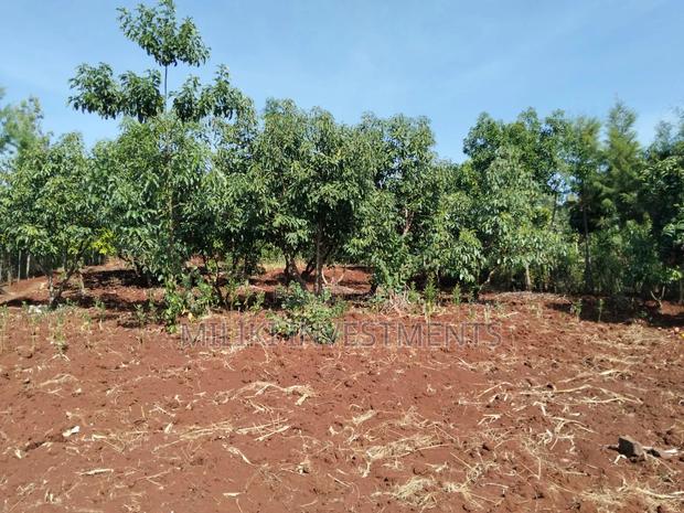 1.5 Acres on Sale at Sabasaba-Kamahuha