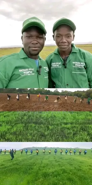 Sign a Contract With Us