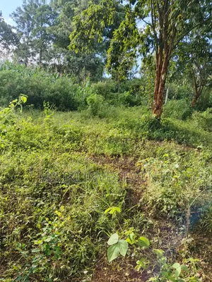 2 Acres on Sale at Makuyu -Mithiini