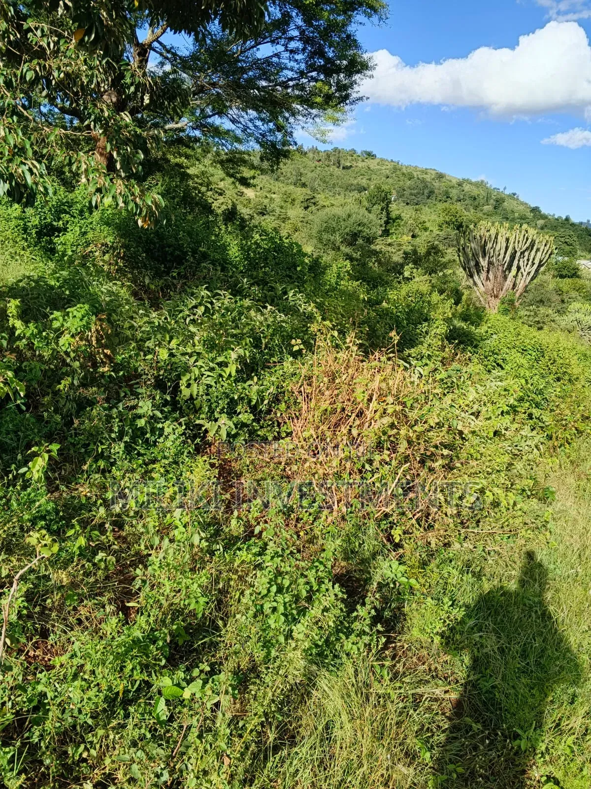 2 Acres on Sale at Makuyu -Mithiini