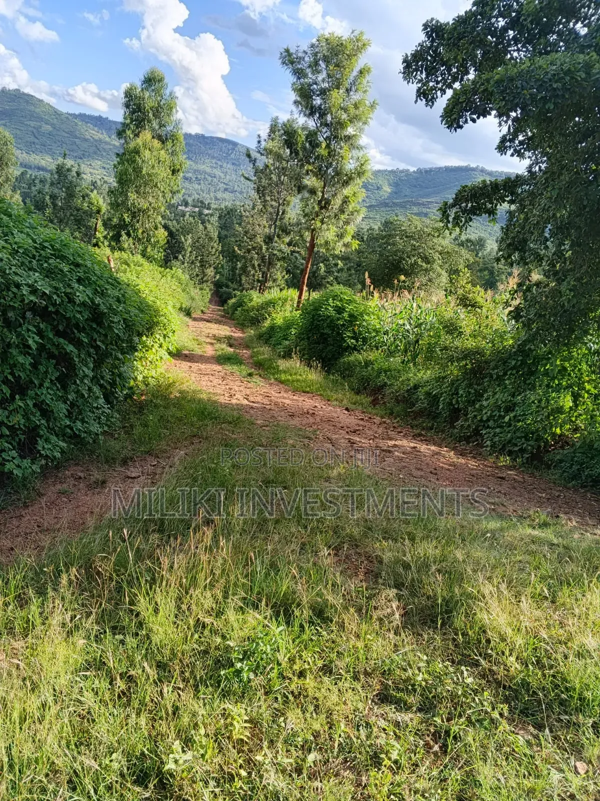 2 Acres on Sale at Makuyu -Mithiini