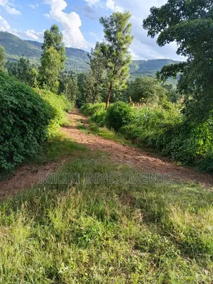 2 Acres on Sale at Makuyu -Mithiini