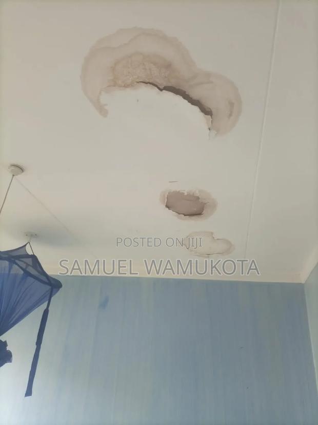 Dampness Solution and Painting