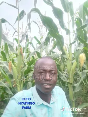 Nyatingo Farm