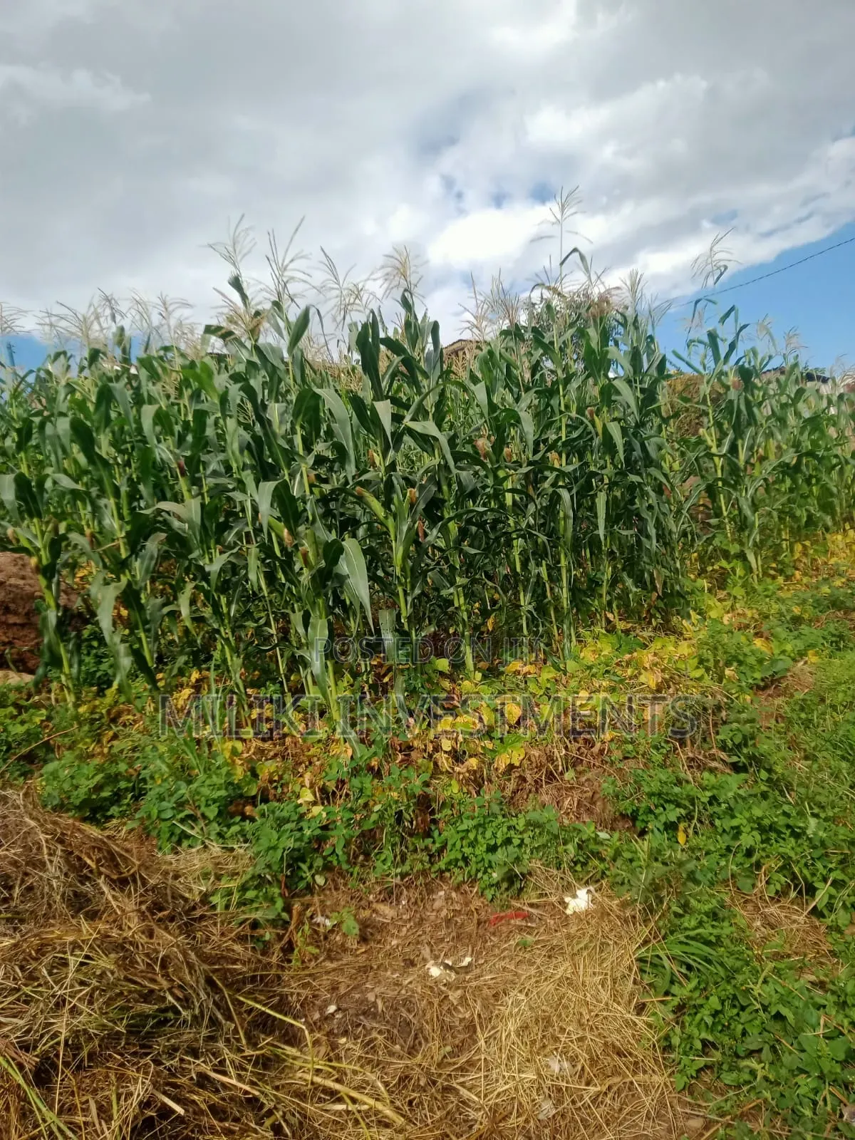 40 by 80 Ft on Sale at Kabati-Methi