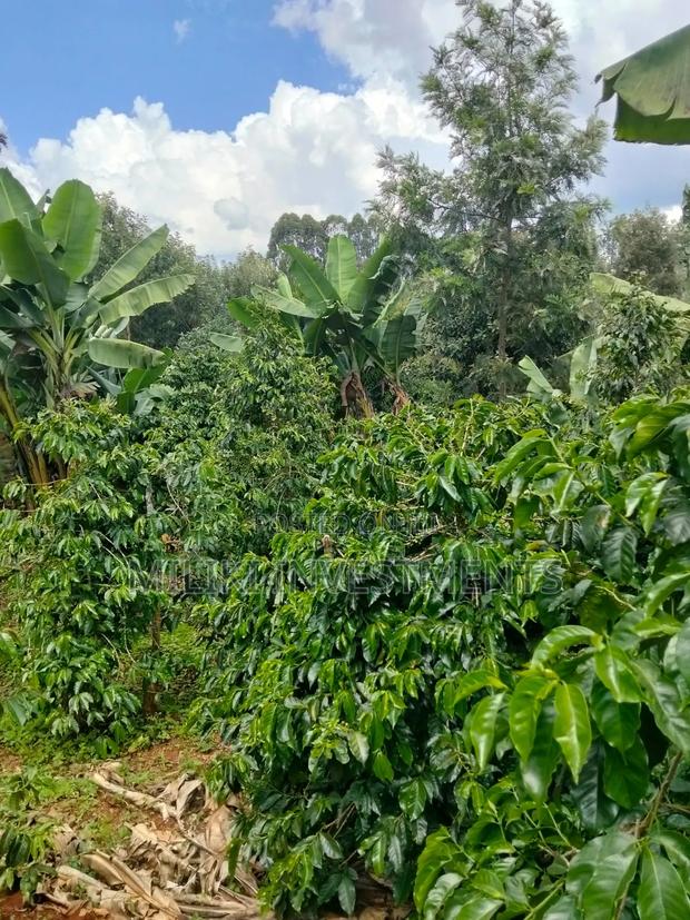 1 Acre Tea / Coffee Farm on Sale at Kigumo-Murang'A