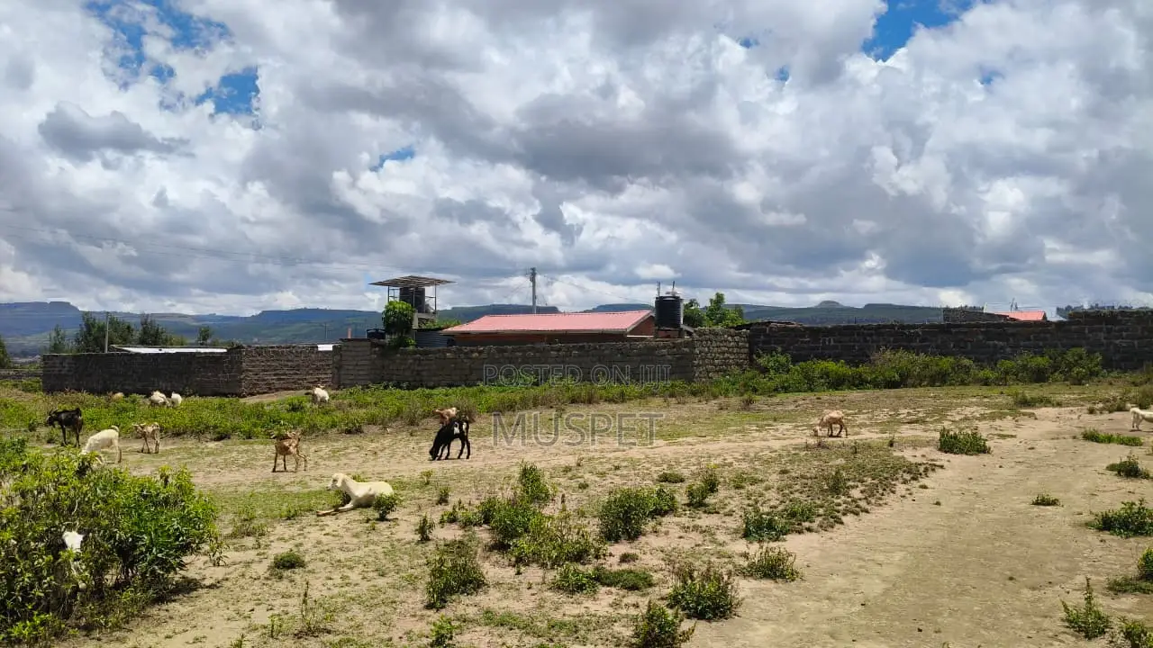 1/8 Plot for Sale in Kikopey