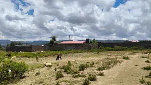 1/8 Plot for Sale in Kikopey