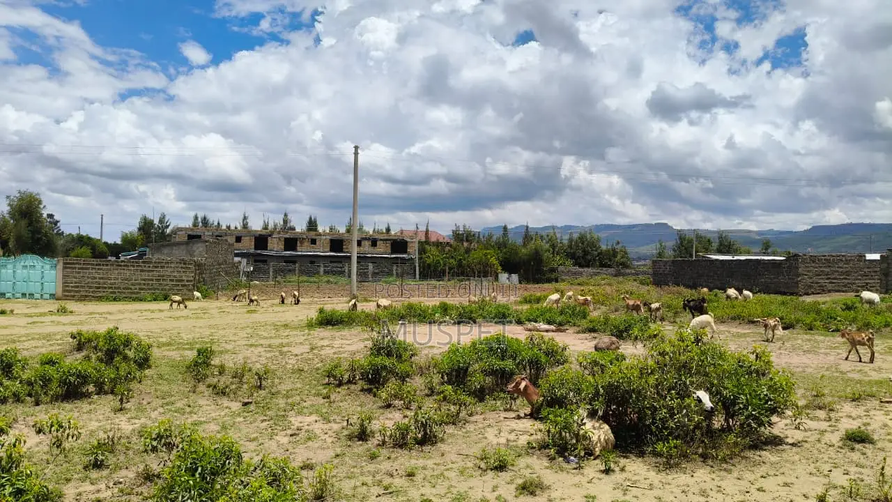 1/8 Plot for Sale in Kikopey