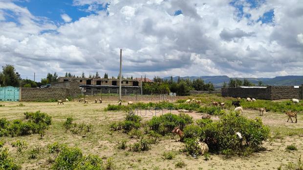 1/8 Plot for Sale in Kikopey - thumbnail 3