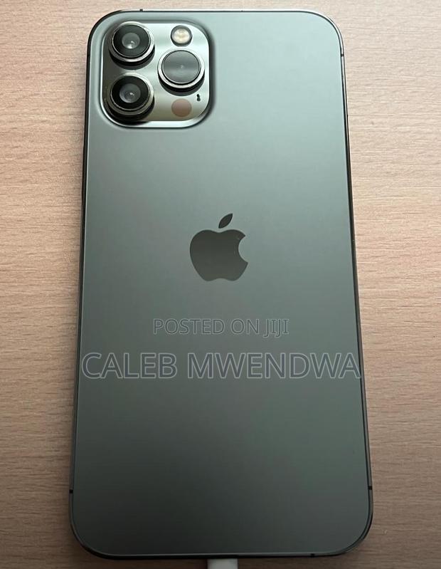 Apple iPhone 12 Pro Max 128 GB Gray