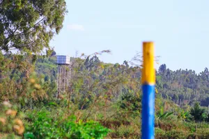 Plots Under 1m In Kamangu.Ckk