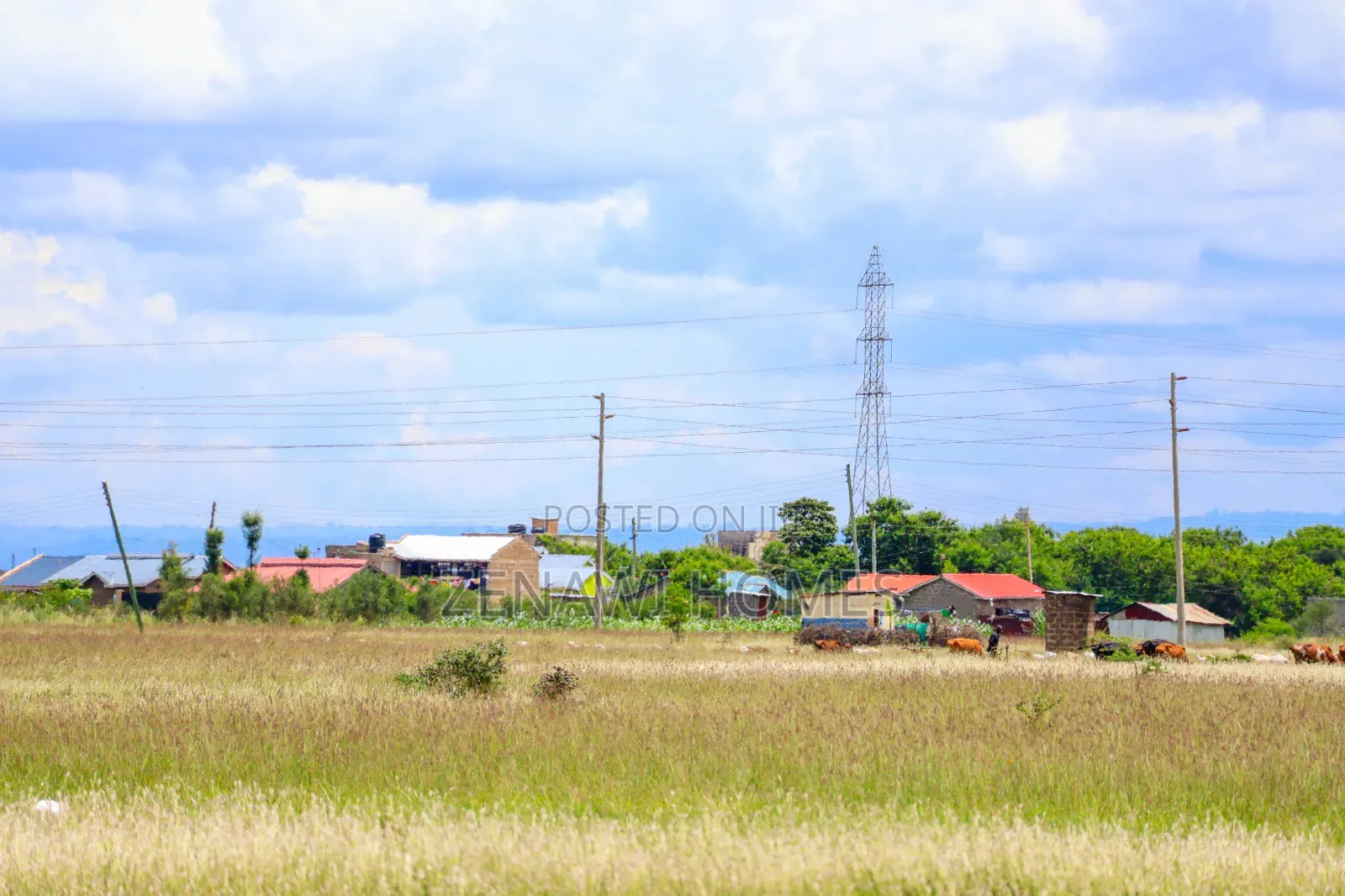 Juja-Muthaara Residential Plot. CKK