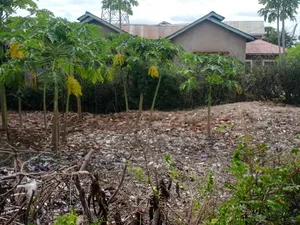 Plot for Sell