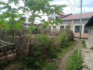 Plot for Sell