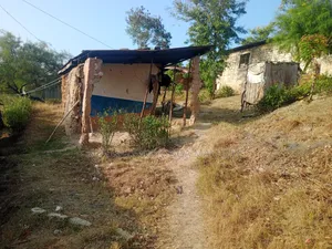 Plot for Sell
