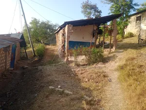 Plot for Sell