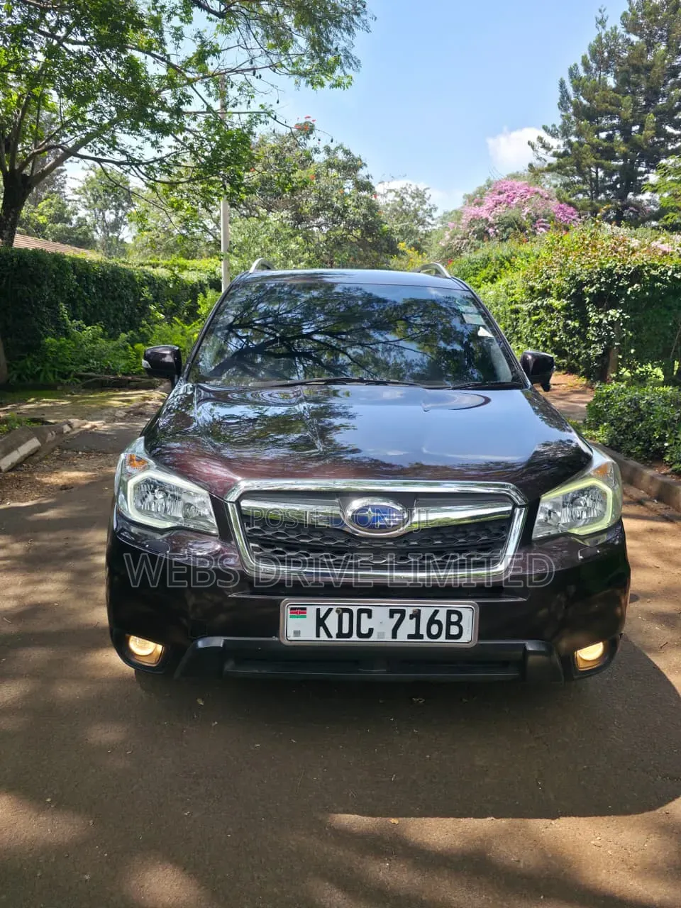 Subaru Forester 2014 Brown