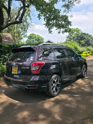 Subaru Forester 2014 Brown