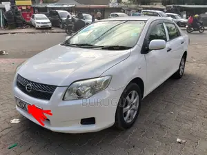 Toyota Axio 2010 White