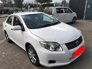 Toyota Axio 2010 White