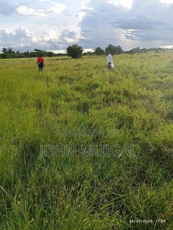 Prime Ngong Town Plots for Sale - thumbnail 6