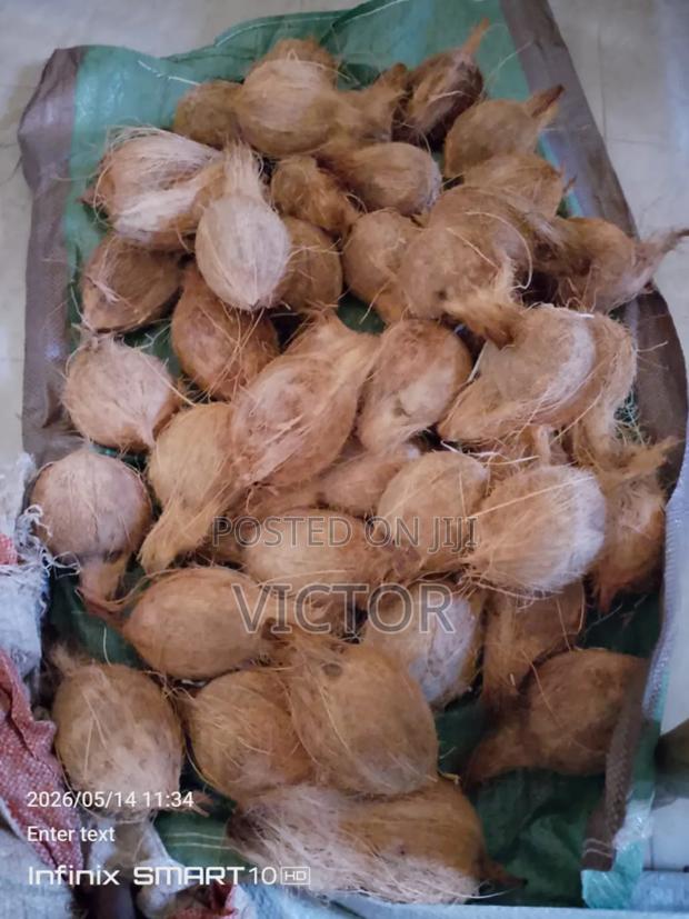 Juiçey Coconut for Sale