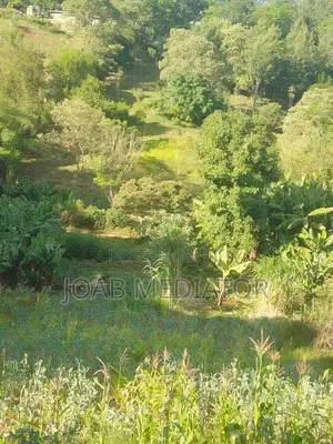 1.3 Acres Land for Sale at 230,000,000/