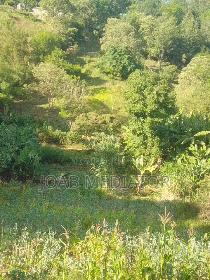 1.3 Acres Land for Sale at 230,000,000/