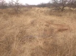52 Acres Land For Sale At 11,500,000/