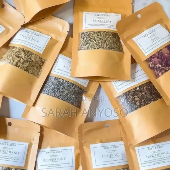 Marpe Wonderland Wellness