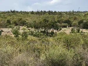 Acreage Land for Sale in Malindi