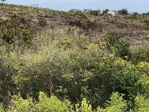 Acreage Land for Sale in Malindi