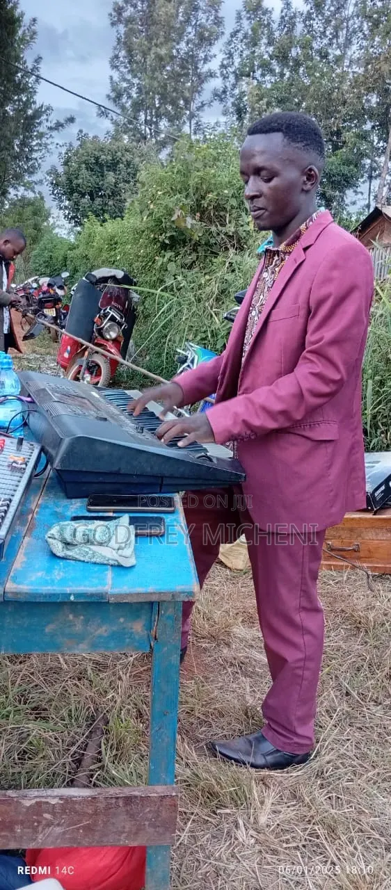 Instrumentalist Job