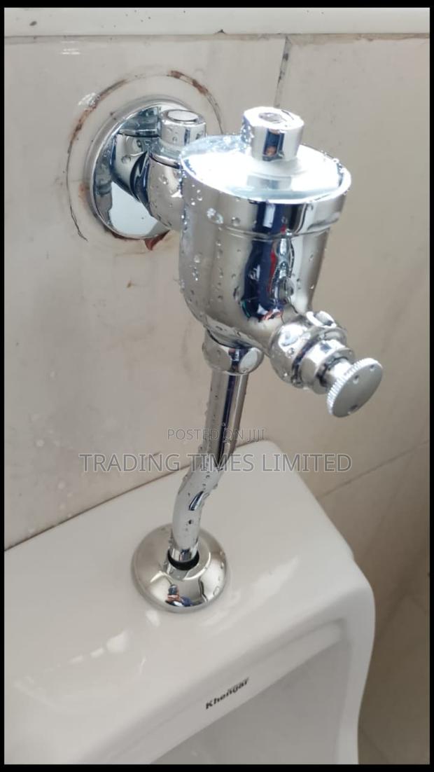 Urinal Flash Valve