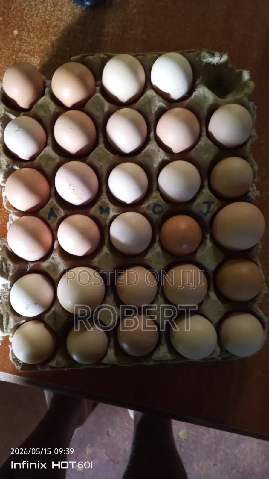 Fertilized Kenbro Eggs