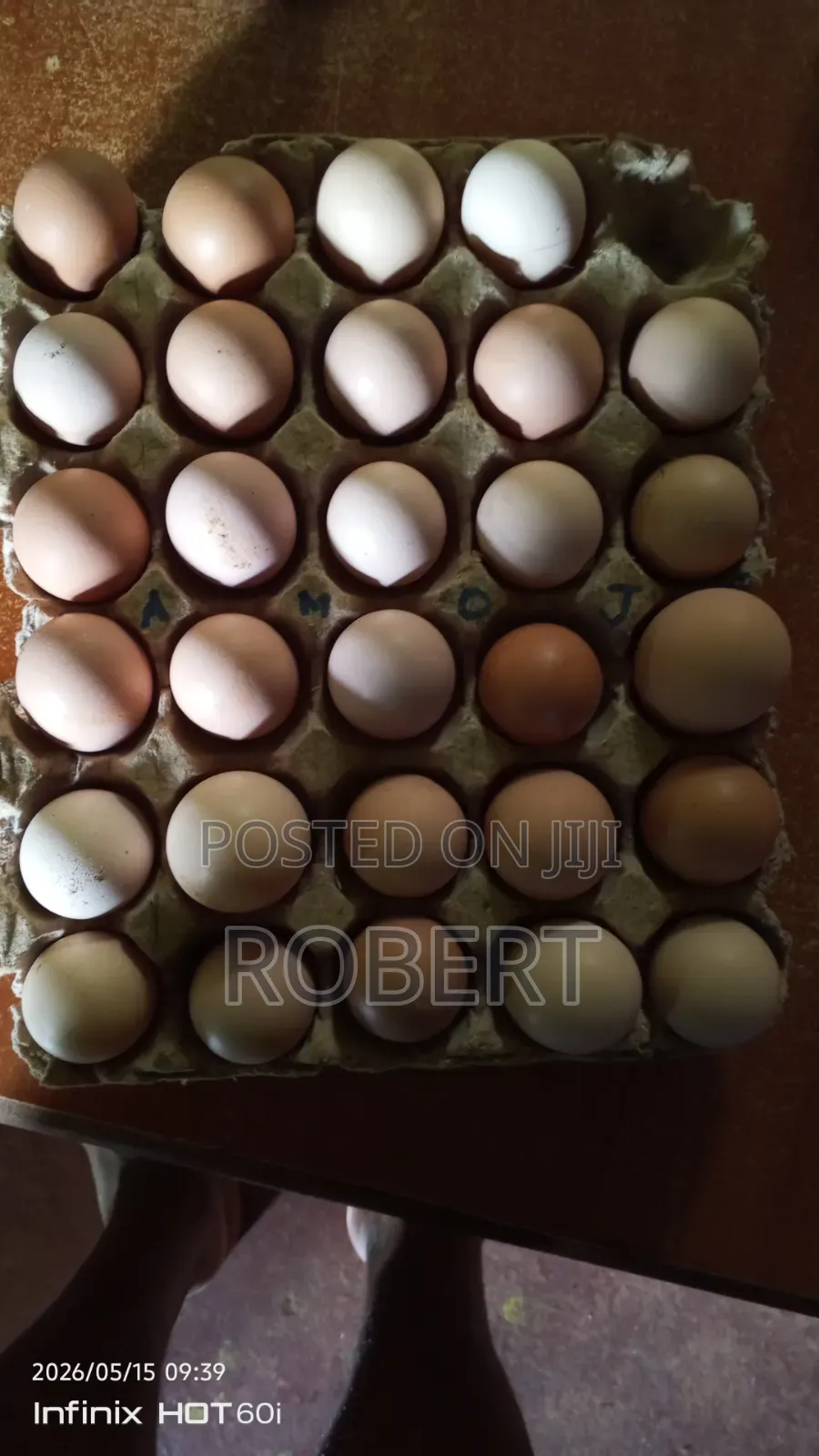 Fertilized Kenbro Eggs