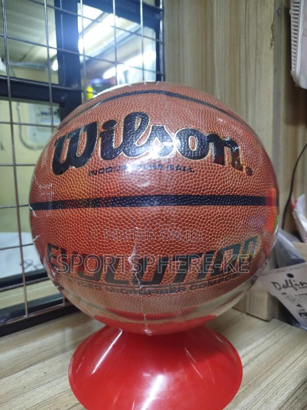 Wilson Evolution Basketball