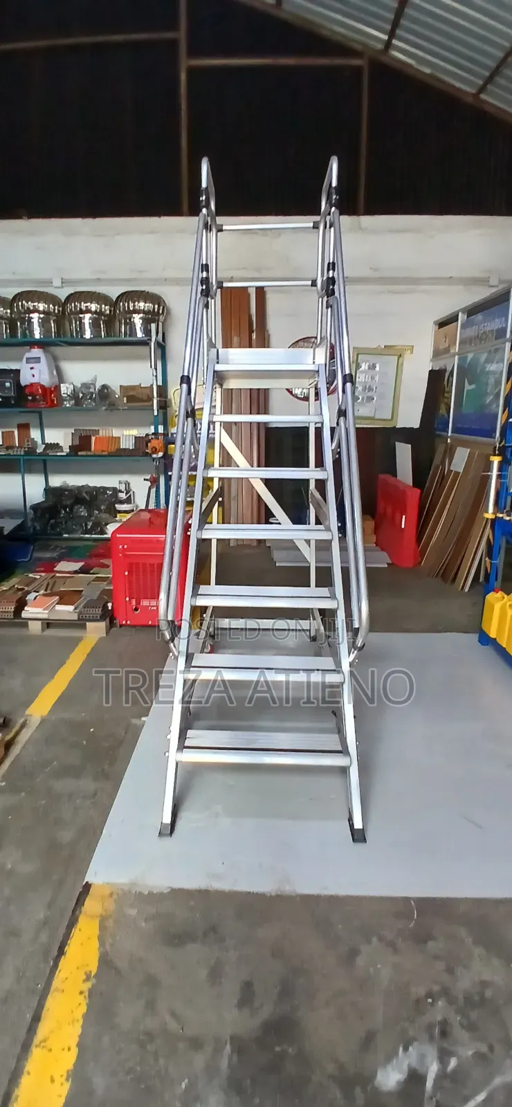 Professional Platform Step Ladder